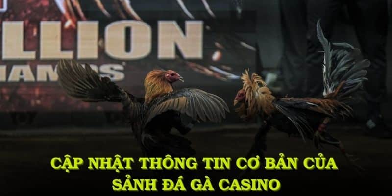 Cập nhật thông tin cơ bản của sảnh đá gà casino 