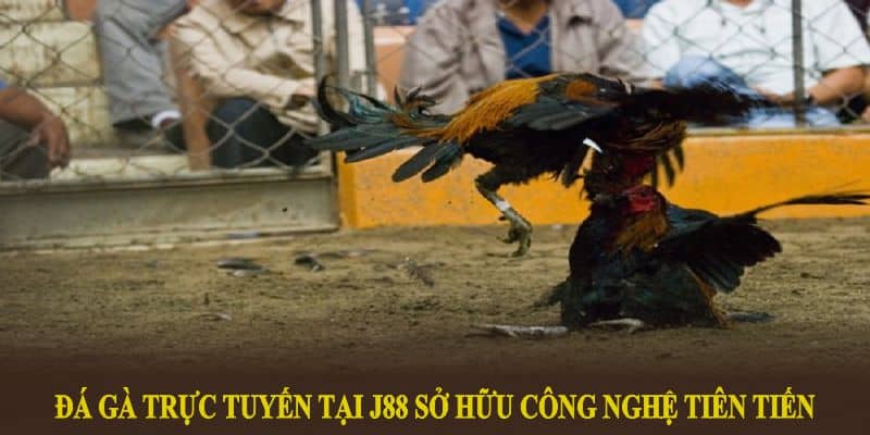 Đá gà trực tuyến tại J88 sở hữu công nghệ tiên tiến cùng dịch vụ vượt trội