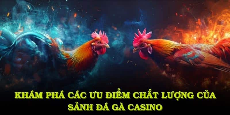 Khám phá các ưu điểm chất lượng của sảnh đá gà casino