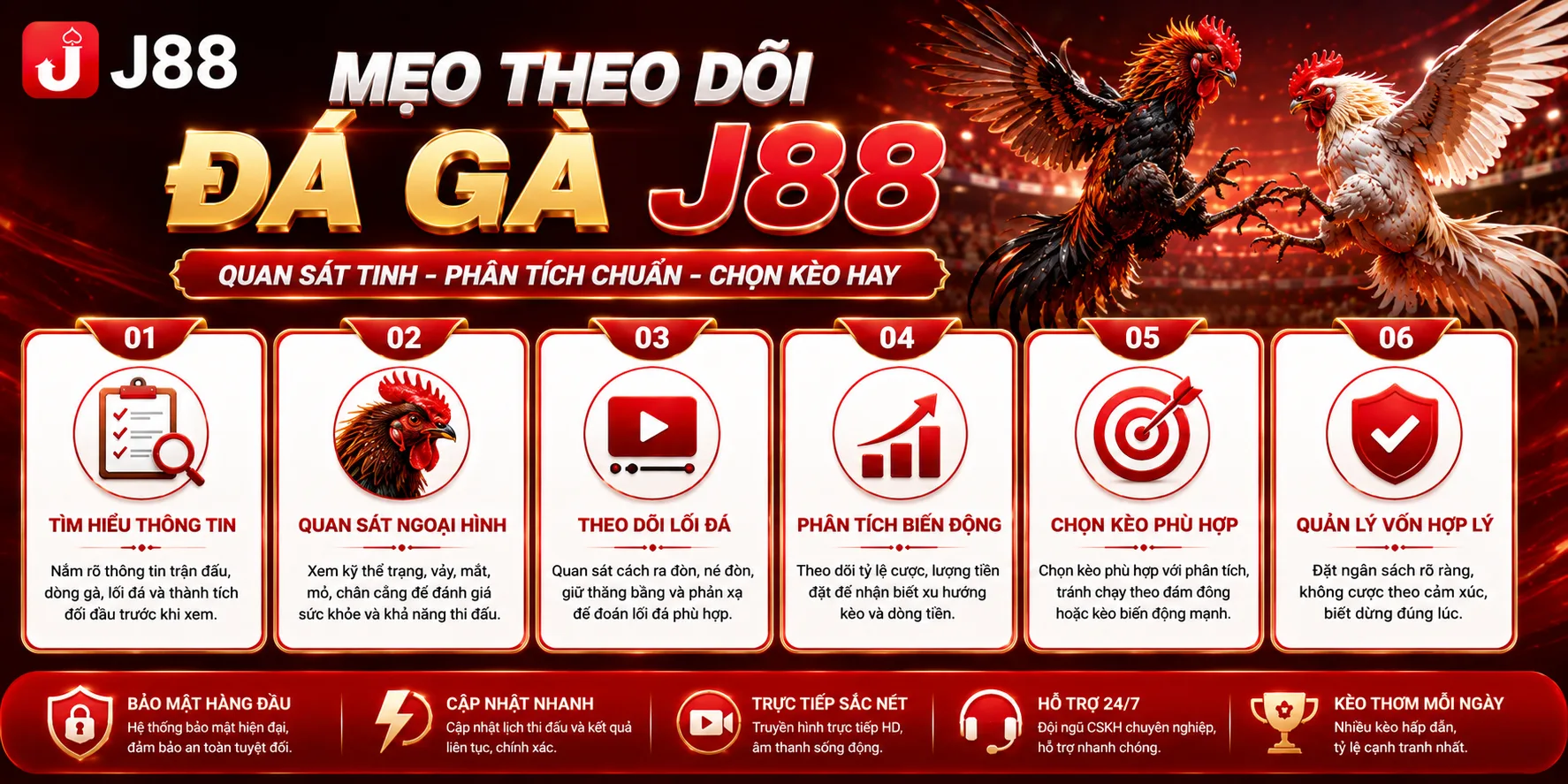 Mẹo tham gia đá gà J88